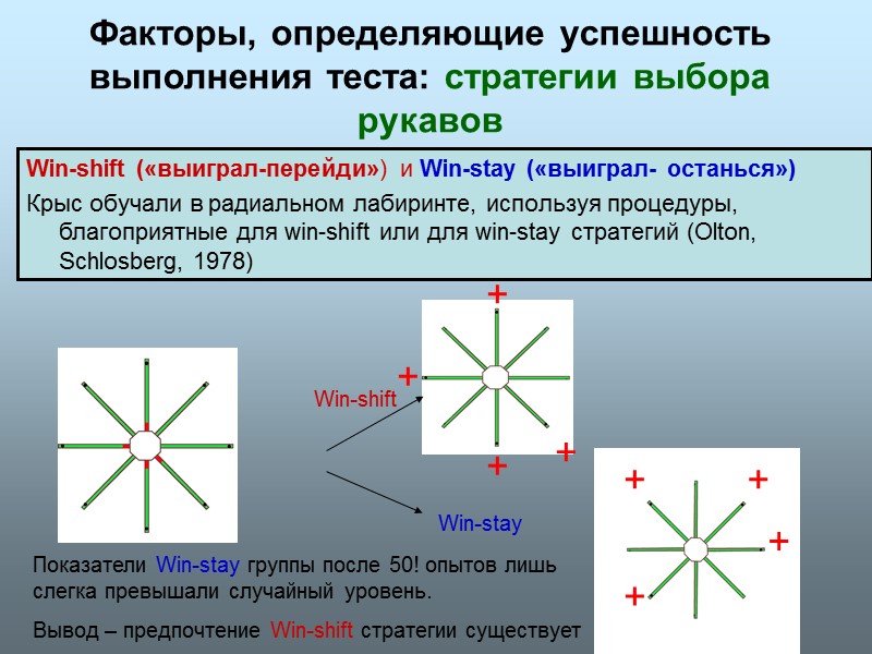 Факторы, определяющие успешность выполнения теста: стратегии выбора рукавов Win-shift («выиграл-перейди») и Win-stay («выиграл- останься»)